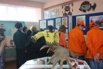 Юные экологи подвели итоги работы
