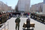 Заветный берет