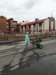 Украсим школьный двор
