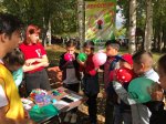 Губернатор на «Марафоне здоровья»
