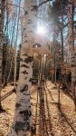 Профсоюзная ДоброАкция