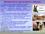 Что делать при укусе собак