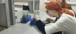 День профориентации в Сургутском государственном университете
