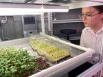 День профориентации в Сургутском государственном университете