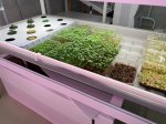 День профориентации в Сургутском государственном университете