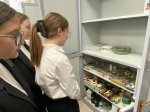 День профориентации в Сургутском государственном университете