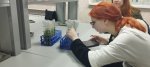 Экскурсия в институт естественных и технических наук