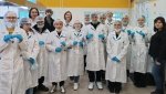 Профессиональные пробы