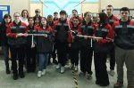 Профессиональные пробы
