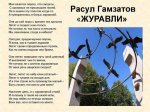 День белых журавлей 