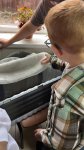 Экскурсия в пришкольную теплицу