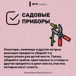 Ребёнок на даче и его безопасность