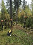 Команда Сентябрьской школы третий раз подряд победила на соревнованиях «Школа безопасности»