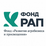Циклы лекций в рамках внеурочной деятельности